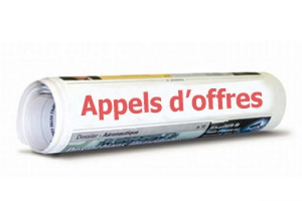 Appelsdoffres Mali