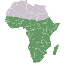 Sub Saharan Africa