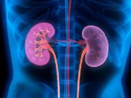 INSUFFISANCE RENALE Un «tueur silencieux» qui fait ravage au Mali