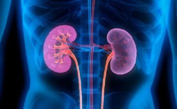 INSUFFISANCE RENALE Un «tueur silencieux» qui fait ravage au Mali